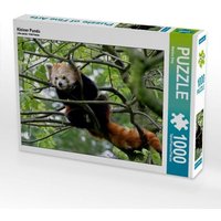 Kleiner Panda (Puzzle) von Calvendo Puzzle