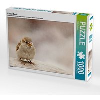 Kleiner Spatz (Puzzle) von Calvendo Puzzle