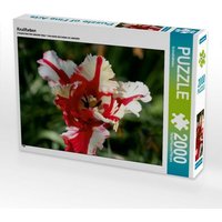 Knallfarben (Puzzle) von Calvendo Puzzle