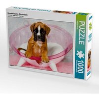 Knuddelalarm - Boxerbaby (Puzzle) von Calvendo Puzzle