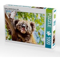 Koalas - Sunshine Coast - QLD (Puzzle) von Calvendo Puzzle