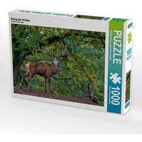 CALVENDO Puzzle König des Waldes 1000 Teile Lege-Größe 64x48cm Foto-Puzzle für glückliche Stunden von Calvendo Puzzle