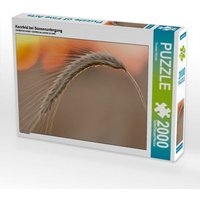 Kornfeld bei Sonnenuntergang (Puzzle) von Calvendo Puzzle