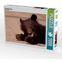 Kragenbär Baby (Puzzle) von Calvendo Puzzle