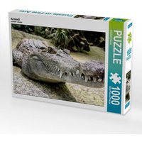Krokodil (Puzzle) von Calvendo Puzzle