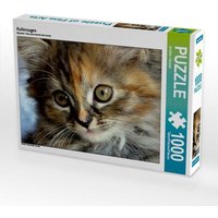 Kulleraugen (Puzzle) von Calvendo Puzzle