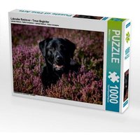 Labrador Retriever - Treue Begleiter (Puzzle) von Calvendo Puzzle