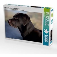 Labrador Retriever - Treue Begleiter (Puzzle) von CALVENDO Verlag GmbH