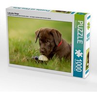 Labrador Welpe (Puzzle) von CALVENDO Verlag GmbH
