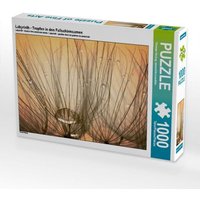 CALVENDO Puzzle Labyrinth - Tropfen in den Fallschirmsamen 1000 Teile Lege-Größe 64x48cm Foto-Puzzle für glückliche Stunden von Calvendo Puzzle