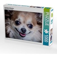 Lachender Chihuahua (Puzzle) von Calvendo Puzzle