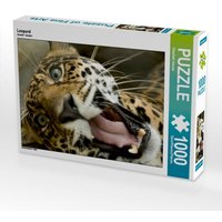 Leopard (Puzzle) von Calvendo Puzzle