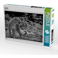 Leopard (Puzzle) von Calvendo Puzzle