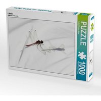 Libelle (Puzzle) von Calvendo Puzzle
