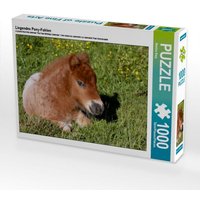 Liegendes Pony-Fohlen (Puzzle) von Calvendo Puzzle
