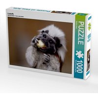 Lisztaffe (Puzzle) von Calvendo Puzzle