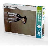 Liu - Jack Russel-Terrier, 10 Wochen (Puzzle) von Calvendo Puzzle