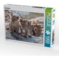 Löwenbabies (Puzzle) von Calvendo Puzzle