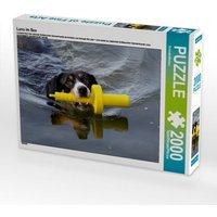 Luna im See (Puzzle) von Calvendo Puzzle
