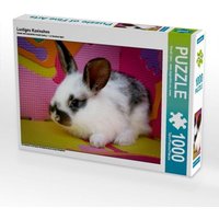 Lustiges Kaninchen (Puzzle) von Calvendo Puzzle