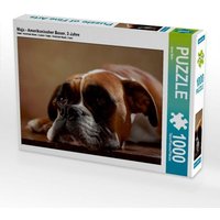 Maja - Amerikanischer Boxer, 3 Jahre (Puzzle) von Calvendo Puzzle