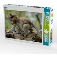 Makake (Puzzle) von Calvendo Puzzle