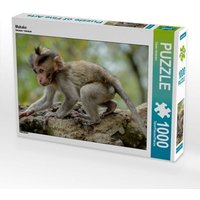 Makake (Puzzle) von Calvendo Puzzle