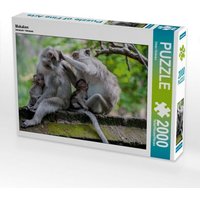 Makaken (Puzzle) von Calvendo Puzzle