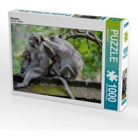 Makaken (Puzzle) von Calvendo Puzzle