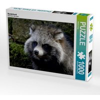 Marderhund (Puzzle) von Calvendo Puzzle