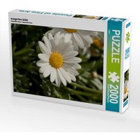 Margeriten blüte (Puzzle) von Calvendo Puzzle