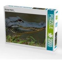 Missisippi Alligator (Puzzle) von Calvendo