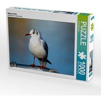 Möwen Pick (Puzzle) von Calvendo Puzzle