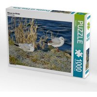 Möwen im Winter (Puzzle) von Calvendo Puzzle