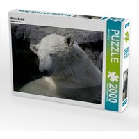 Müder Eisbär (Puzzle) von Calvendo Puzzle