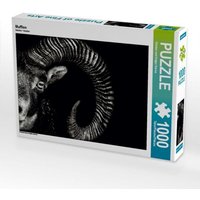 Mufflon (Puzzle) von Calvendo Puzzle