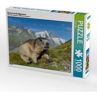 Murmel mit Großglockner (Puzzle) von Calvendo Puzzle