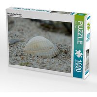 Muschel am Strand (Puzzle) von Calvendo Puzzle