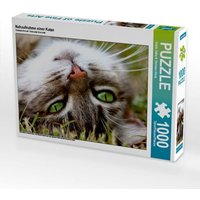 Nahaufnahme einer Katze (Puzzle) von Calvendo Puzzle