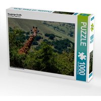 Neugierige Giraffe (Puzzle) von Calvendo Puzzle