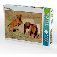Nichts innen (Puzzle) von Calvendo Puzzle