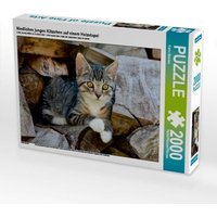 CALVENDO Puzzle Niedliches junges Kätzchen auf einem Holzstapel 2000 Teile Puzzle quer 2000 Teile Lege-Größe 90 × 67 cm Foto-Puzzle für glückliche Stunden von Calvendo Puzzle