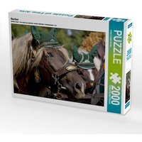 Noriker (Puzzle) von Calvendo Puzzle
