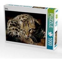 Ozelot (Puzzle) von Calvendo Puzzle