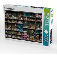 Pankies lieben das Meer (Puzzle) von Calvendo Puzzle