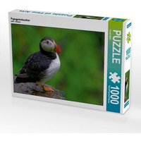 CALVENDO Puzzle Papageientaucher 1000 Teile Lege-Größe 64x48cm Foto-Puzzle für glückliche Stunden von Calvendo Puzzle