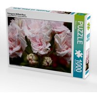 Pelargonie Millfield Rose (Puzzle) von Calvendo Puzzle