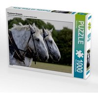 Percheron-Gespann (Puzzle) von Calvendo Puzzle