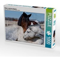 Pferde - kraftvolle Eleganz (Puzzle) von Calvendo Puzzle