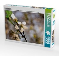 Pflaumenblüte (Puzzle) von Calvendo Puzzle